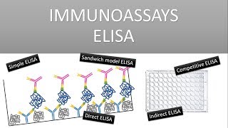 The Principle of Immunoassays ELISA Enzyme Linked Immunosorbent Assay [upl. by Relyuc]