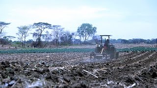 Conservation farming in Zambia [upl. by Bridwell]