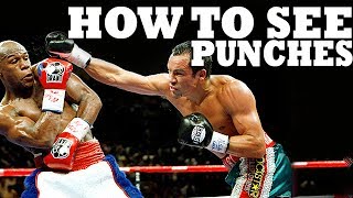 How to See a Punch Coming in Boxing MMA or Street Fight [upl. by Curzon]