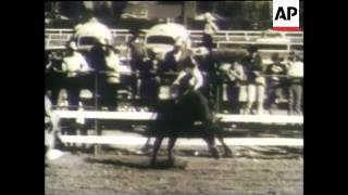 Surf Ski Rodeo Racing Indy 500 Italy GP [upl. by Nwahsar]