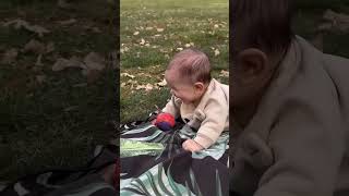 Dog wants to play fetch with baby dog baby animals youtube youtubeshorts shorts [upl. by Suilenrac]