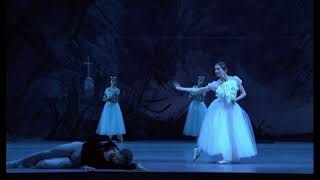 Bolshoi Ballet 20172018 Season Giselle  Sergei Polunin Act II [upl. by Neroled]