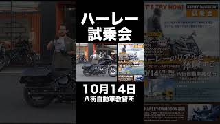 ハーレー試乗会10月14日八街自動車教習所 harleydavidson [upl. by Zenia]