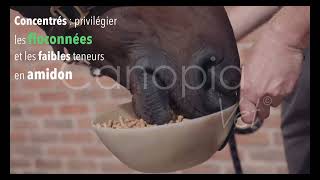 Coliques et alimentation  CanopiaVet© [upl. by Nilac]