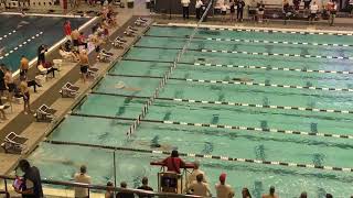 Mens 200 IM Heat 2 [upl. by Ahar519]