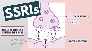 Selective Serotonin Reuptake Inhibitors SSRIs  Indications mechanism side effects [upl. by Lleynad]