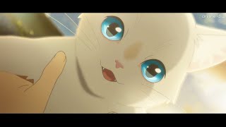 A Whisker Away『AMV』 Yorushika  Ghost In A Flower [upl. by Enelloc]