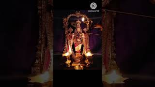 Akilanda koti brahmanda nayaka balaji thirumala thirupati god govinda ytshorts trending [upl. by Waller410]