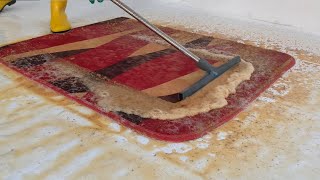 Asmr Carpet Cleaning Rug Cleaning 🧹 asmr satisfying cleaningcarpet oddlysatisfying [upl. by West920]