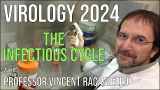 Virology Lectures 2024 2 The Infectious Cycle [upl. by Aseiram]