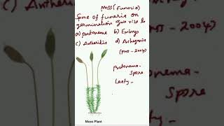 biology  Ncert  Plant kingdom  Bryophytes  Funaria  biology  bryophytes [upl. by Kellyann]