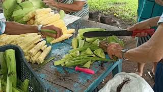 tamales de elote primeros pasos [upl. by Rafaela]