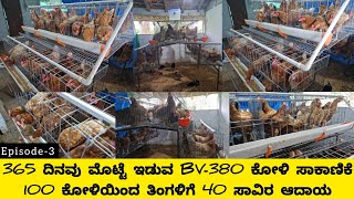 BV380 ಕೋಳಿ ಸಾಕಾಣಿಕೆಯಿಂದ ಪ್ರತಿದಿನ ಆದಾಯbv380 poultry farmingbv380 eggs [upl. by Nnylyma219]