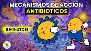 Mecanismo de acción de antibióticos ¿Cómo actúan [upl. by Ayetal]