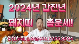 2024년 갑진년 🐖 돼지띠 총운세 인천부평연화암 01077559594 돼지띠갑진년총운세재수금전안정소원성취 [upl. by Rosalinda]