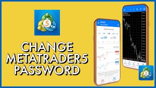 How to Change Your MetaTrader 5 Account Password 2023 [upl. by Sej697]