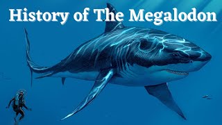 History of the Megalodon  Documentary [upl. by Mckenzie]