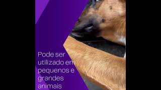 Laserterapia  Medicina veterinária [upl. by Neilla]