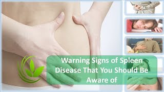 Warning Signs of Spleen Disease That You Should Be Aware of [upl. by Narda]