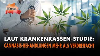 Laut KrankenkassenStudie Cannabis Behandlungen mehr als verdreifacht [upl. by Flatto]