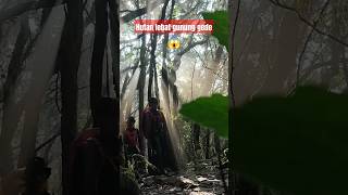 Trek gunung gedeshorts videoshort gununggede mountains hiking gunung gunungindah [upl. by Olivann]