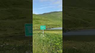 Eagle in Unalaska [upl. by Arimat]