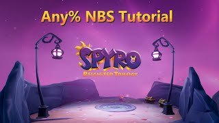 Spyro the Dragon Reignited Any NBS Console Speedrun Tutorial [upl. by Kadner]