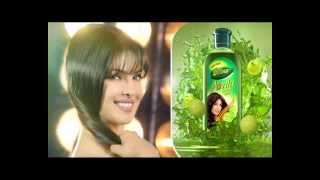 Dabur Amla Hair Oil for Long amp Healthy Hair  Strengthen Your Hair With Real Power of Amla [upl. by Longtin811]