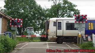 HALOGEN WIGWAGS Milton Fen Level Crossing Cambridgeshire 250524 [upl. by Jt]