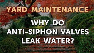 Why Do AntiSiphon Valves Leak Water [upl. by Etteuqram]