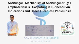 Antifungal Drugs  Mechanism  Amphotericin B  Caspofungin  Griseofulvin  Scabies  Pediculosis [upl. by Bocaj508]