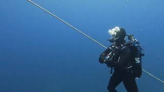 🤿 Scuba Cette vidéo est un rappel du niveau de plongée que nous avons réalisé [upl. by Tan]