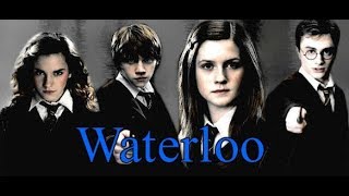 Harry  GinnyRon  Hermione Waterloo [upl. by Seyler]