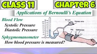 blood flow Application of Bernoullis equation class 11 physics in UrduHindi [upl. by Eryn54]