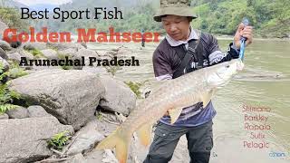 Fishing Caught a beautiful Golden Mahseer 7 april 2024 Strong fish of River🎣 arunachalpradesh [upl. by Akiria]