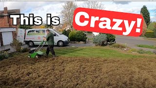 Scarifying A VERY THICK Thatchy Lawn [upl. by Philipson]