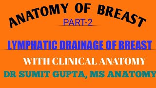 LYMPHATIC DRAINAGE OF BREAST  Part 22 [upl. by Mandle]