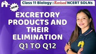 Excretory Products and their Elimination Class 11 Biology  NCERT Solutions Chapter 16 Question 112 [upl. by Aksoyn]