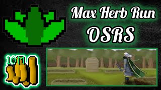 OSRSMAX HERB RUN IS MONEY [upl. by Haleelahk]