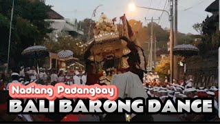 BALI BARONG DANCE  Nadiang Padangbay [upl. by Elik597]