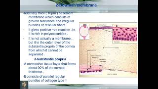 Histology of Eye  part 1  Dr Shehla Aman [upl. by Gelhar680]