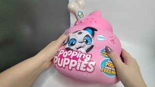 POOPING PUPPIES Dog poops unboxing [upl. by Sobel796]