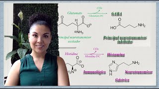 Aminas Biógenas y su aplicación clínica GABA e Histamina [upl. by Haslett421]