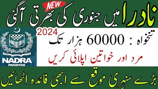 How to Apply for Nadra Jobs 2024 Online  Nadra Office Jobs Online Apply 2024  StepbyStep Guide [upl. by Huff649]