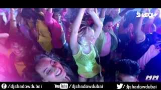 PARTY ALL NIGHT DJ SHADOW DUBAI REMIX [upl. by Demetrius]