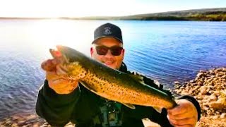 Fishing Landlocked Atlantic Salmon In Newfoundland [upl. by Schonfield]