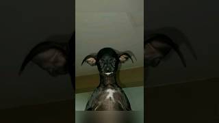 SkinWalker Disguised As Animals ☢️ PRT56 viral ytshorts [upl. by Nylevol]