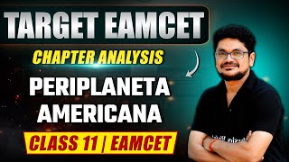 PERIPLANETA AMERICANA  Zoology  Class 11EAMCET [upl. by Akinod]