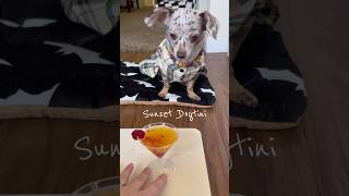 Sunset Dogtini strongdrink dogtini homemade souschef spoileddog [upl. by Oirifrop]