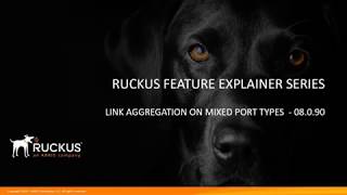 LINK AGGREGATION ON MIXED PORT TYPES  RUCKUS ICX 8090 [upl. by Atteval969]